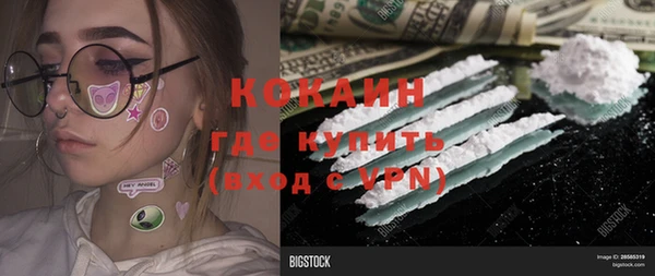 ECSTASY Богородск