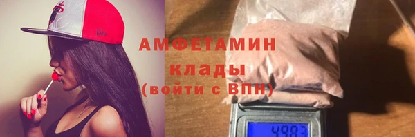 индика Богданович